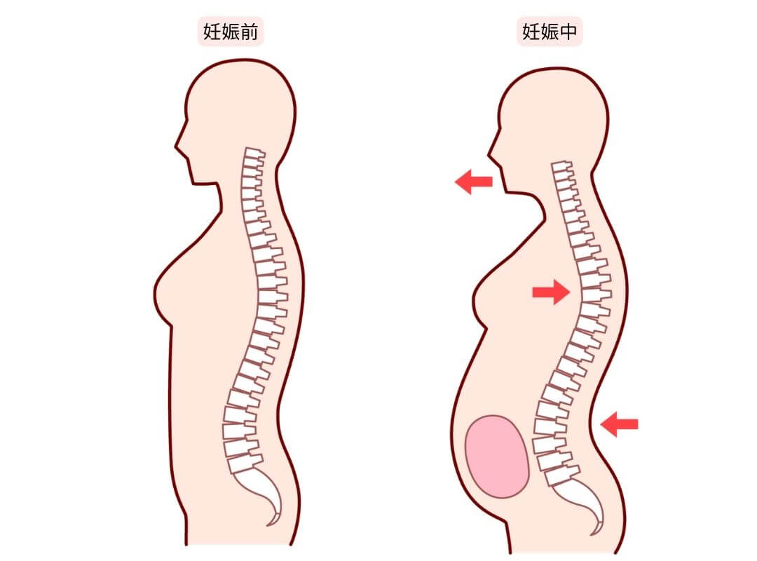 妊娠中の体の変化